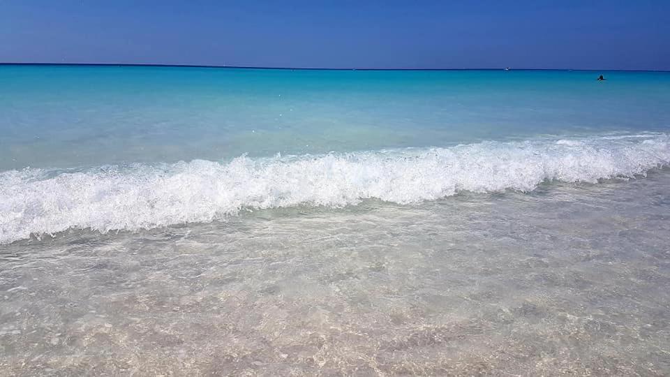 Agriturismo Il Poggio 卡萨莱马里蒂莫 外观 照片