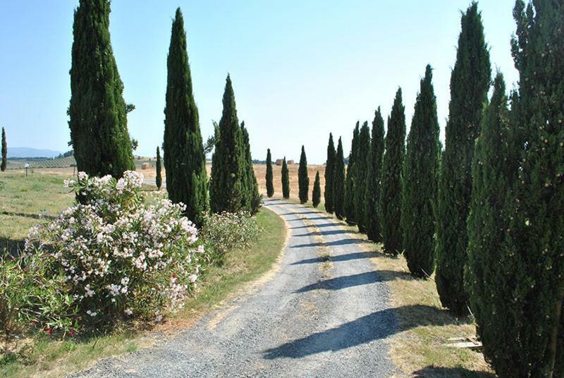 Agriturismo Il Poggio 卡萨莱马里蒂莫 外观 照片